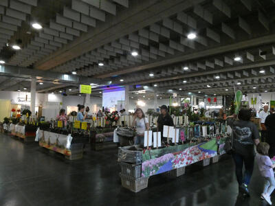 display booths