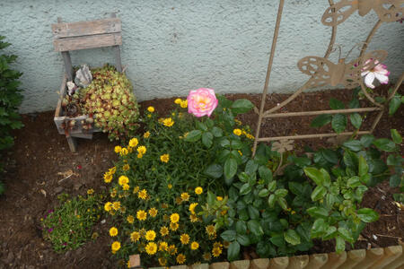 flowerbed