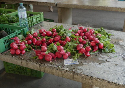 radishes