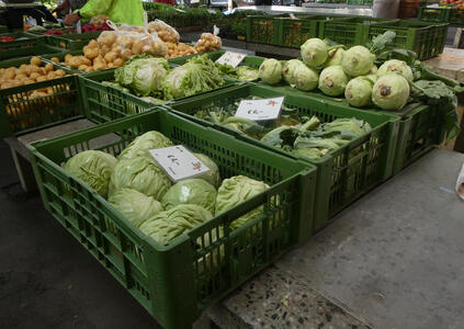 heads of lettuce