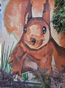 squirrel