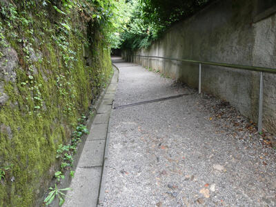 path