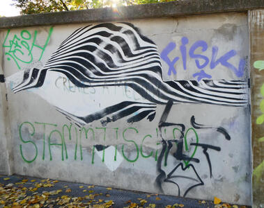 Zebra striping that forms a semicircular pattern