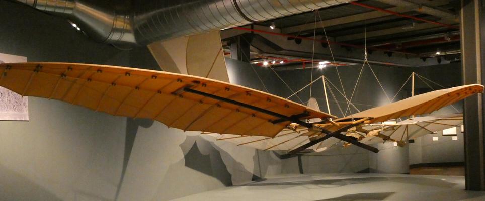 Large glider with yellow wings