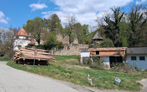 thal house