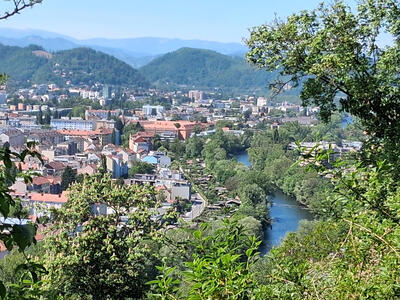 View of Graz from north side of Schloßberg. A river is in the middle right, with a tree in the foreground at far right.