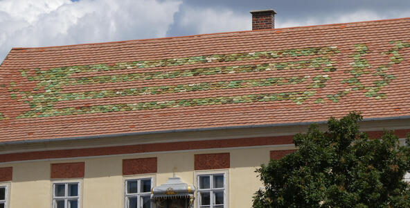 Roof with mostly red tongue-shaped shingles. There are green ones that make a pattern of four horizontal stripes and two vertical zigzygs at right.
