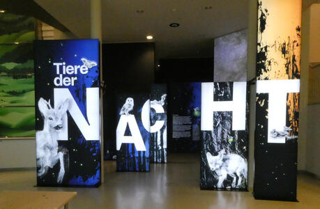 Tiere der Nacht. The words are written on several irregularly spaced panels, and must be viewed at a particular angle to see the complete letters.