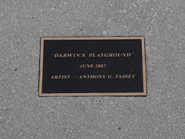 darwins playground darwins playground