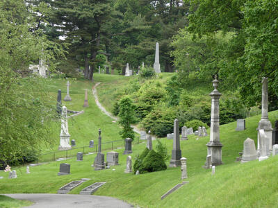 Long view of graves in lawn and tree area