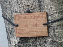 tree tag