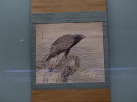 drawing of eagle drawing of eagle