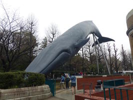 model blue whale outside science museum model blue whale outside science museum