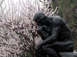 thinker with cherry blossoms thinker with cherry blossoms