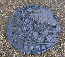 manhole cover with cherry blossom motif manhole cover with cherry blossom motif