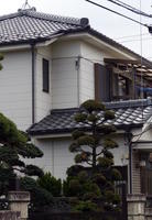 house w japanese roof tiles and tree house w japanese roof tiles and tree
