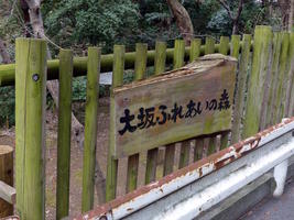 entrance to woods entrance to woods