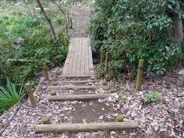 stairway to woods stairway to woods