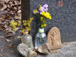 flowers at foot of stone flowers at foot of stone