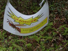 signage wasp warning signage wasp warning