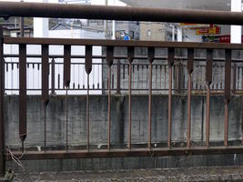 not really solid fence not really solid fence
