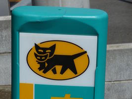 logo cat carrying kitten logo cat carrying kitten