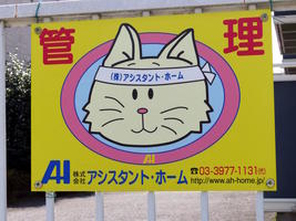 signage cartoon cat with sweatband signage cartoon cat with sweatband