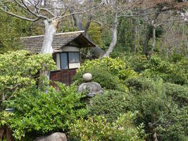 woods behind nezu museum woods behind nezu museum
