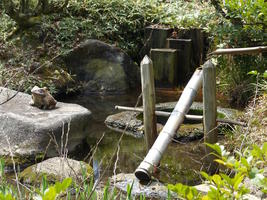 nezu museum woods nezu museum woods