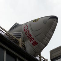 large fish atop tsukiji building large fish atop tsukiji building