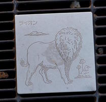 lion grate lion grate