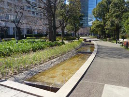 curved sidewalk curved sidewalk