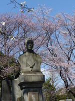 cemetery cemetery