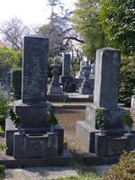 cemetery cemetery