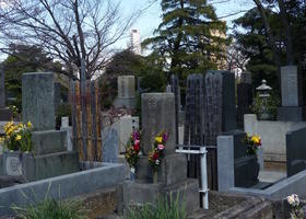 cemetery cemetery