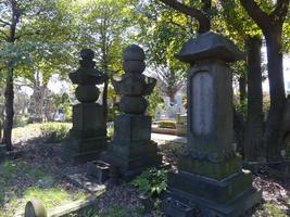 cemetery cemetery