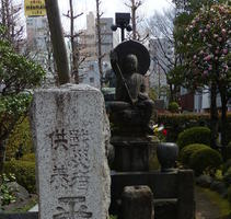 buddha buddha
