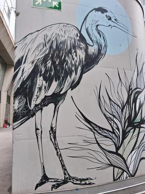Stork with blue circle highlight