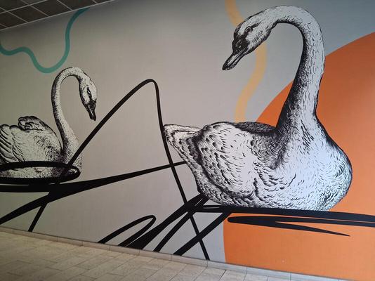 Two swans