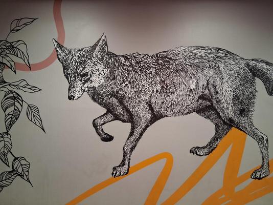 Side view of wolf, walking