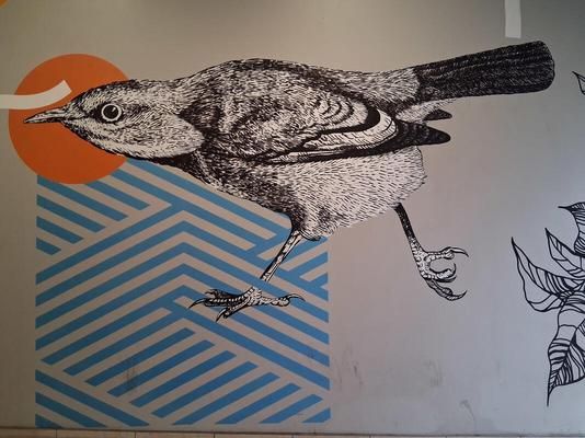 Bird, walkiing towards viewer’s left